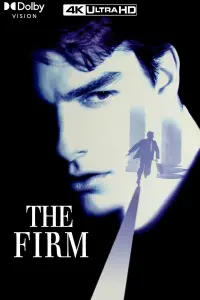 Poster to the movie "The Firm" #266611