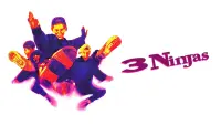 Backdrop to the movie "3 Ninjas" #326544