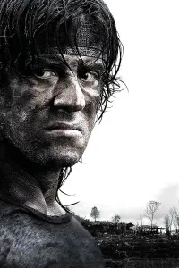 Poster to the movie "Rambo" #268910