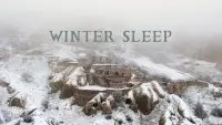 Backdrop to the movie "Winter Sleep" #206020