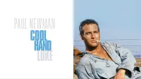 Backdrop to the movie "Cool Hand Luke" #102958