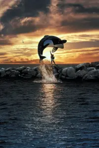 Poster to the movie "Free Willy" #299588