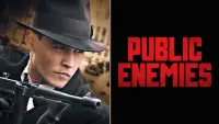 Backdrop to the movie "Public Enemies" #271232