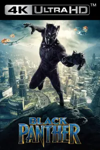 Poster to the movie "Black Panther" #219897