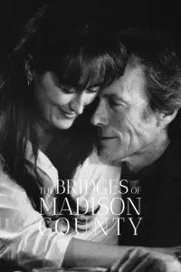 Poster to the movie "The Bridges of Madison County" #454893