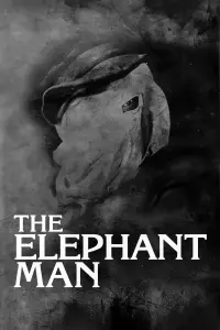 Poster to the movie "The Elephant Man" #124253