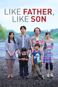 Poster to the movie "Like Father, Like Son" #124008