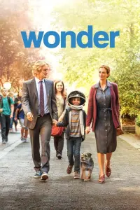 Poster to the movie "Wonder" #72322