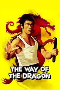 Poster to the movie "The Way of the Dragon" #82875