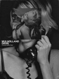 Poster to the movie "Mulholland Drive" #617766