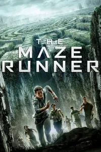 Poster to the movie "The Maze Runner" #7914