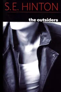 Poster to the movie "The Outsiders" #108235