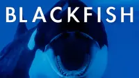 Backdrop to the movie "Blackfish" #155007