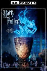 Poster to the movie "Harry Potter and the Goblet of Fire" #7802