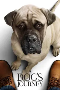 Poster to the movie "A Dog