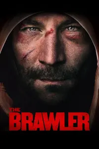 Poster to the movie "The Brawler" #317196