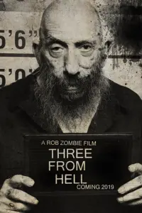 Poster to the movie "3 from Hell" #116105