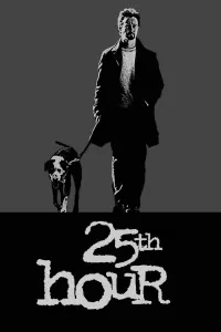 Poster to the movie "25th Hour" #146222