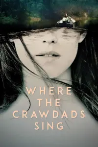 Poster to the movie "Where the Crawdads Sing" #53646