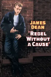 Poster to the movie "Rebel Without a Cause" #121079