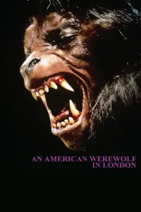 Poster to the movie "An American Werewolf in London" #50303