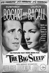 Poster to the movie "The Big Sleep" #126288