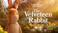 Backdrop to the movie "The Velveteen Rabbit" #3353