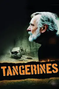 Poster to the movie "Tangerines" #202191