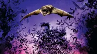 Backdrop to the movie "Bats: Human Harvest" #702716