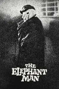 Poster to the movie "The Elephant Man" #124246