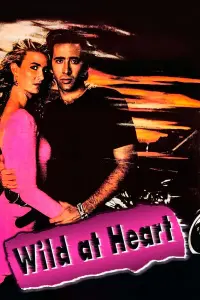 Poster to the movie "Wild at Heart" #134623