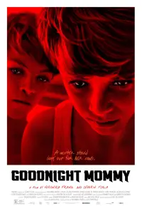 Poster to the movie "Goodnight Mommy" #147063