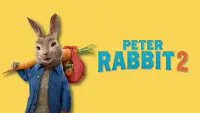 Backdrop to the movie "Peter Rabbit 2: The Runaway" #50568