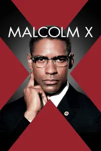 Poster to the movie "Malcolm X" #112567