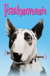 Poster to the movie "Frankenweenie" #254675