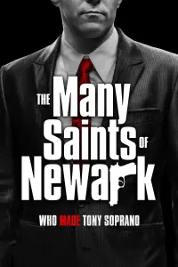 Poster to the movie "The Many Saints of Newark" #287256