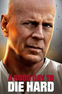 Poster to the movie "A Good Day to Die Hard" #32533