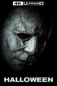 Poster to the movie "Halloween" #45966