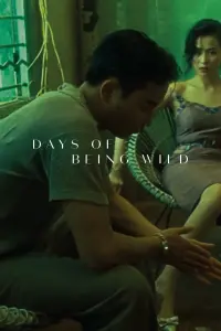 Poster to the movie "Days of Being Wild" #144109