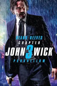 Poster to the movie "John Wick: Chapter 3 - Parabellum" #19387