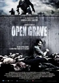 Poster to the movie "Open Grave" #346545