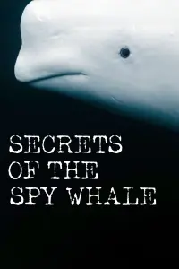 Poster to the movie "Secrets of the Spy Whale" #635013