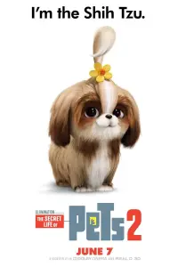 Poster to the movie "The Secret Life of Pets 2" #32681