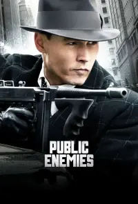 Poster to the movie "Public Enemies" #271256