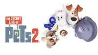 Backdrop to the movie "The Secret Life of Pets 2" #32660