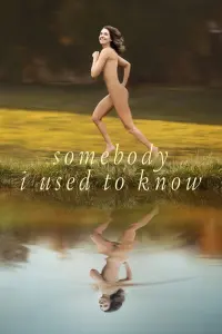 Poster to the movie "Somebody I Used to Know" #68188