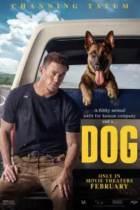 Poster to the movie "Dog" #56721