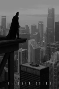 Poster to the movie "The Dark Knight" #675470