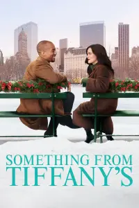 Poster to the movie "Something from Tiffany