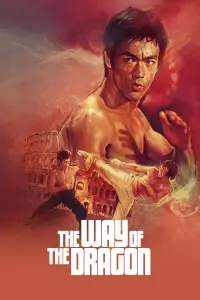 Poster to the movie "The Way of the Dragon" #82864